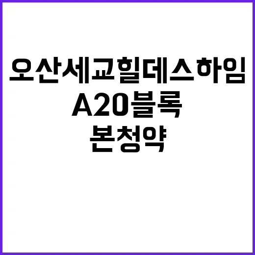 오산세교 힐데스하임…