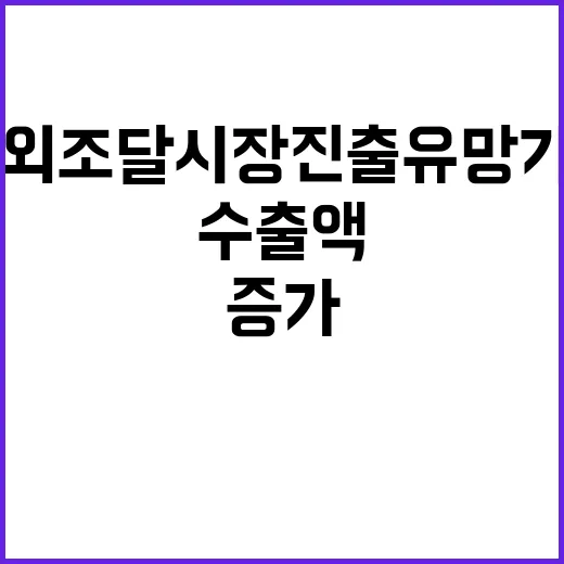 ‘해외조달시장 진출…