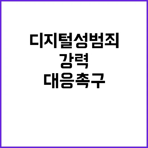 디지털 성범죄 윤 대통령의 강력 대응 촉구!