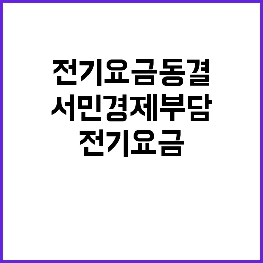 전기요금 동결 서민경제 부담 덜어낼까?