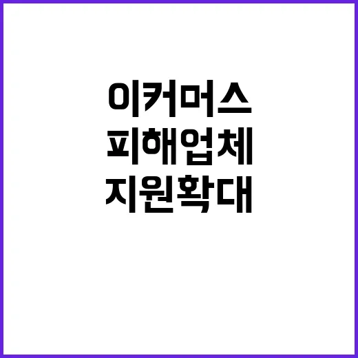 이커머스 지원 확대…