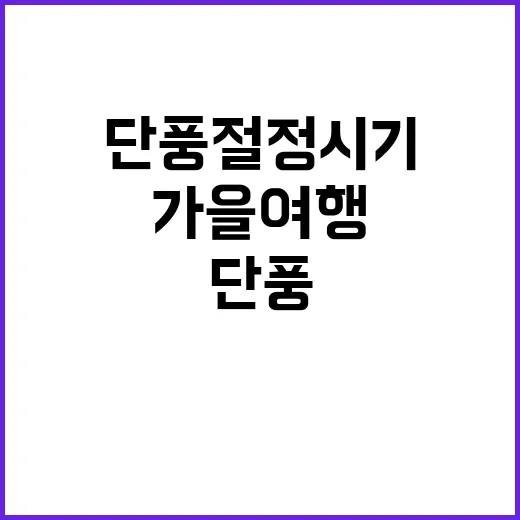 단풍 절정 시기 당신의 가을 여행 계획!