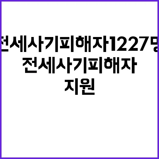 전세사기피해자 12…