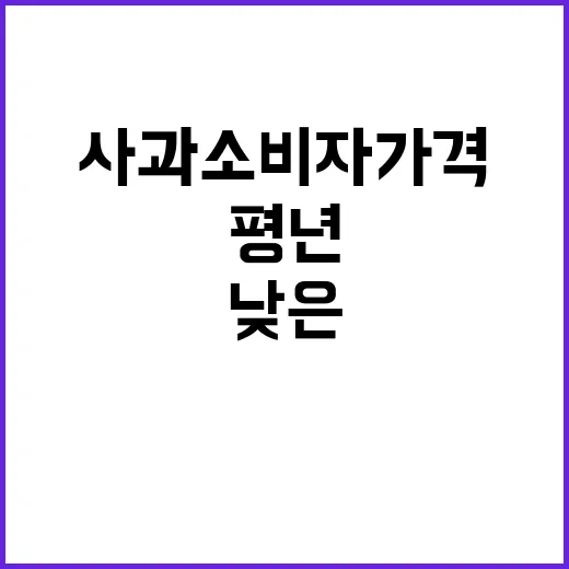 사과 소비자가격 평년 대비 낮은 이유 공개!