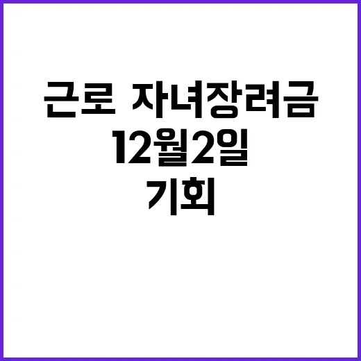 근로·자녀장려금 12월 2일 기회 절대 놓치지 마!