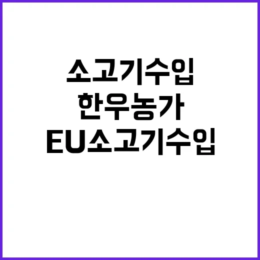 한우농가 지원 EU 소고기 수입의 숨겨진 진실!