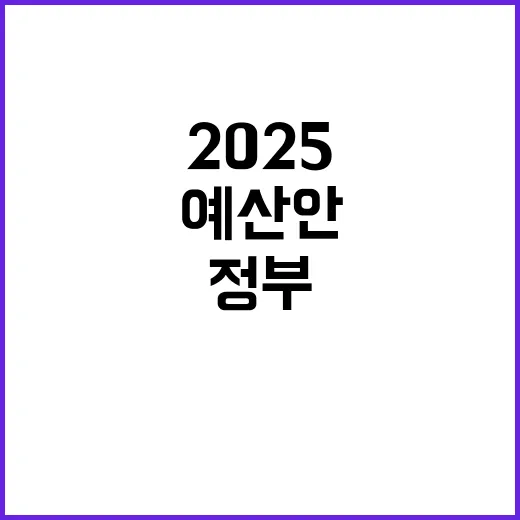 2025 예산안 정부의 파격적 변화 초읽기!