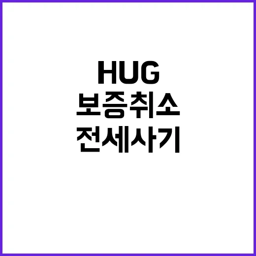 전세사기? 보증 취소 권고 HUG 대책 주목!