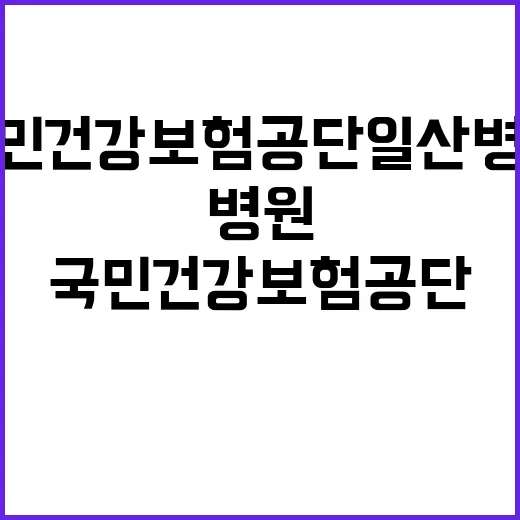 국민건강보험공단 일…