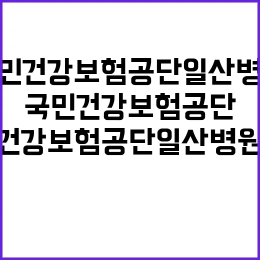 국민건강보험공단 일…