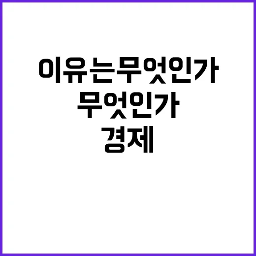 경제 체질 더 튼튼해지는 이유는 무엇인가?