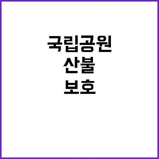 국립공원공단 비정규…