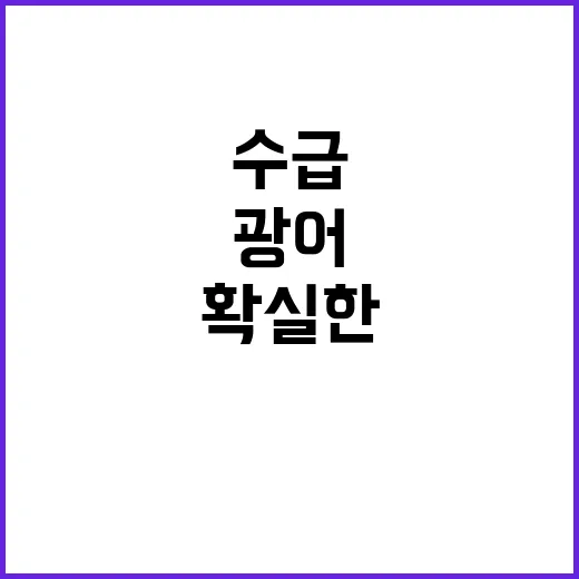 광어 수급 안정 해…