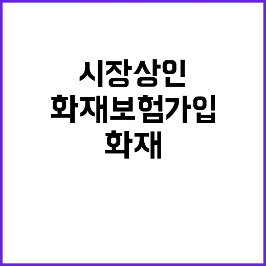 화재보험 가입 시장…