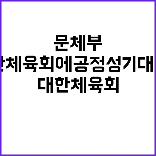 문체부 대한체육회에…