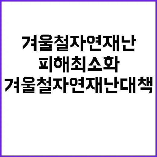 겨울철 자연재난 대…