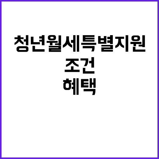 청년월세 특별지원 …