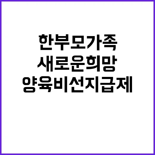 양육비 선지급제 한…