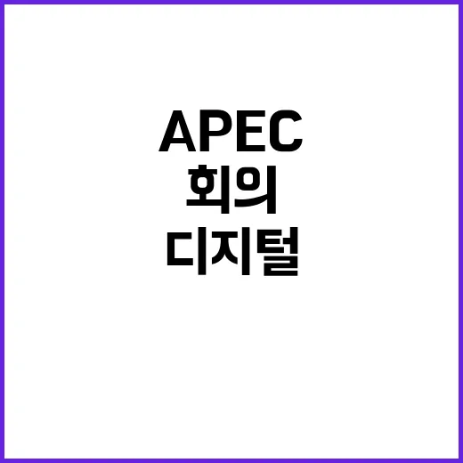 APEC 디지털 장…