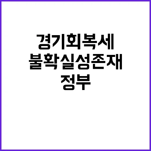 경기회복세 불확실성…