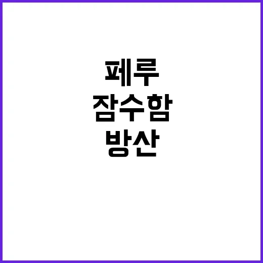 K방산 한·페루 협…