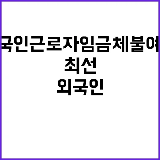 외국인근로자 임금체…