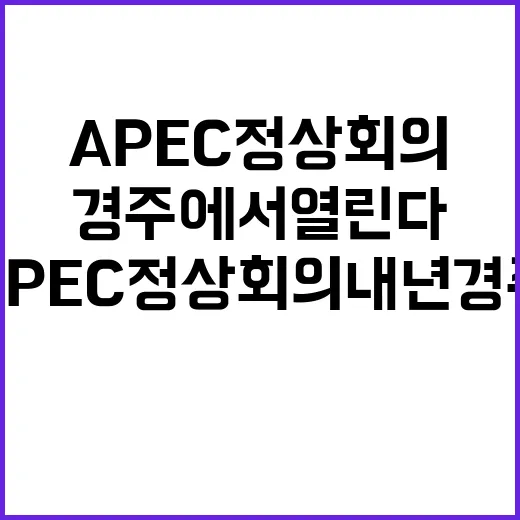 APEC 정상회의 …