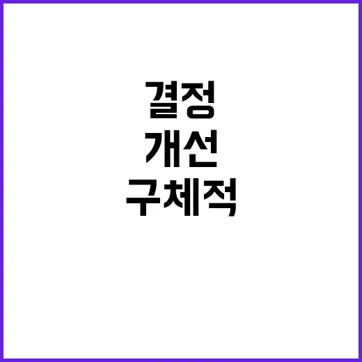 경제형벌 개선과제 …