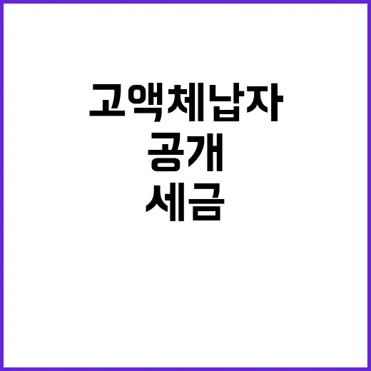 고액체납자 공개…세…