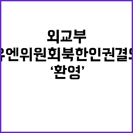 유엔위원회 북한 인…