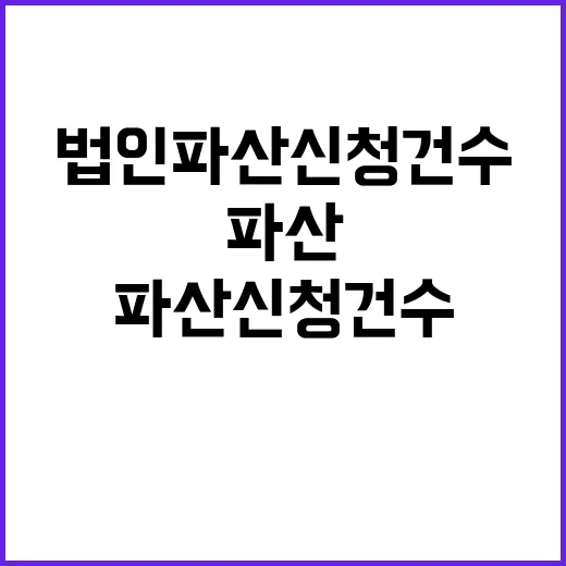 법인 파산 신청 건수 감소세의 진실은?