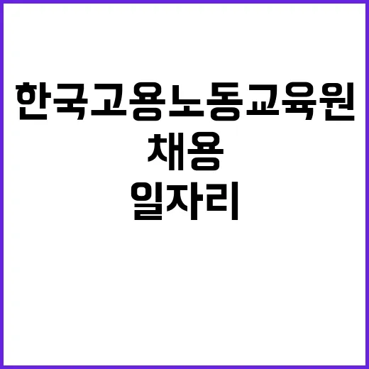 2024년 한국고용노동교육원 4차 계약직(휴직 대체인력) 채용 공고