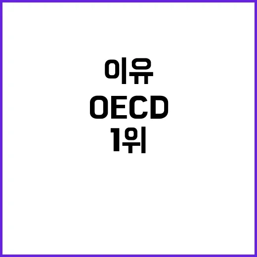 OECD 규제정책 1위 이유는 무엇일까?