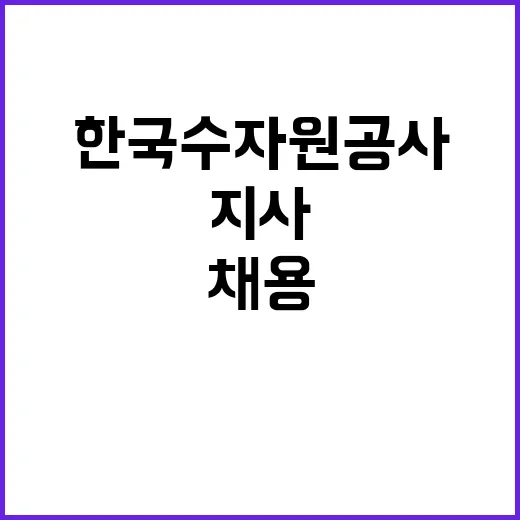 한국수자원공사 비정…