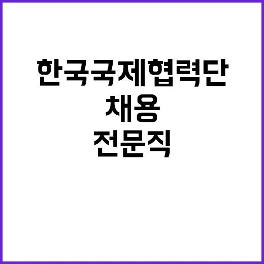 한국국제협력단 비정…