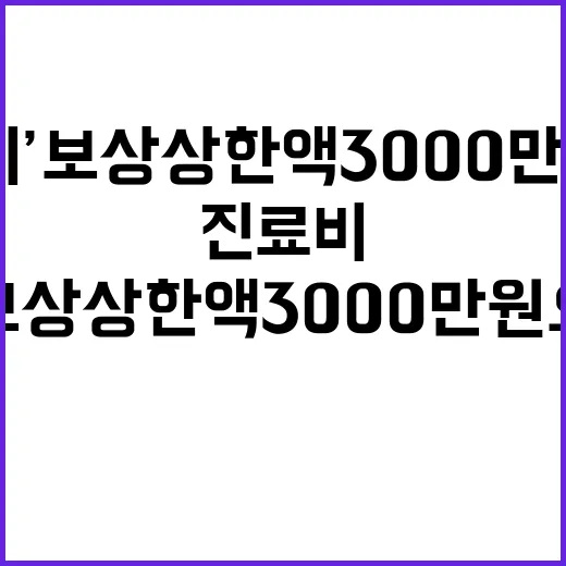 ‘진료비’ 보상 상한액 3000만원으로 급상승!