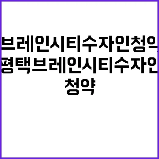 평택 브레인시티 수자인 청약 일정 주목할 만한 특징!