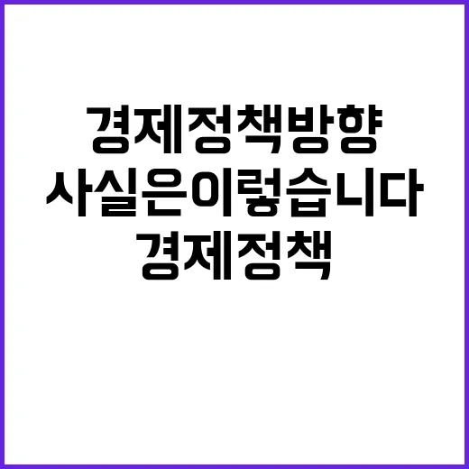 경제정책방향 사실은 이렇습니다 차질없이 준비 중