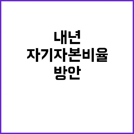 자기자본 비율 금융위 방안 내년 상반기 공개!