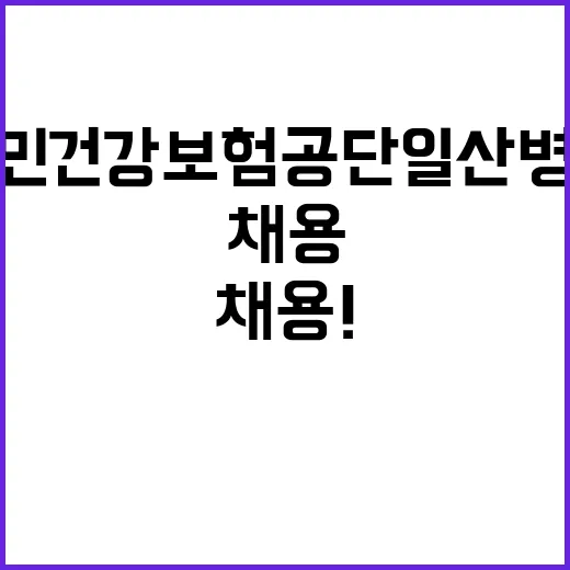 [채용공고] 2025년 1월 기간제근로자 모집공고(사무직, 보건직, 간호직, 약무직, 기능직)