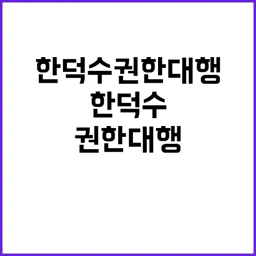 특별재난지역 한덕수 권한대행의 긴급 조치 발표!