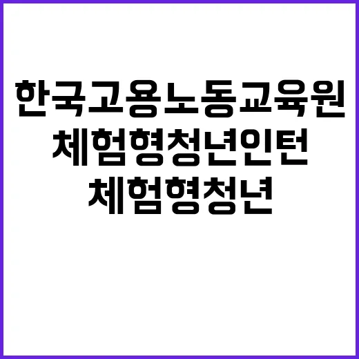 2024년 한국고용노동교육원 5차 계약직(체험형 청년인턴) 채용 공고