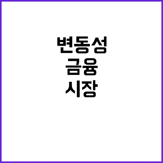 금융 변동성 신속한 시장안정조치 필요성 강조!