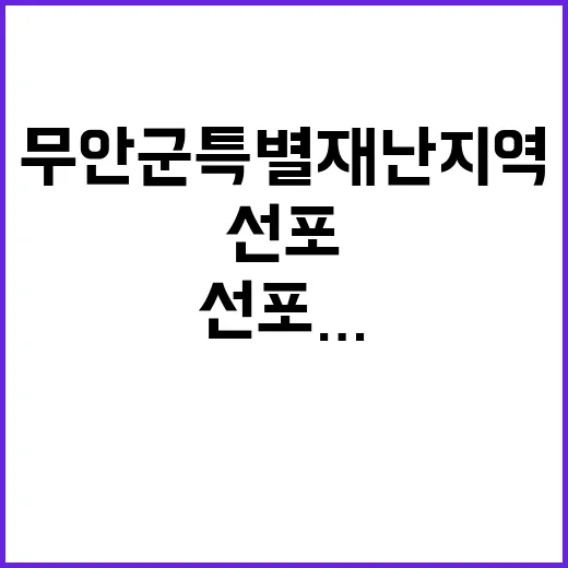 무안군 특별재난지역 선포…피해자 지원의 새로운 시작!