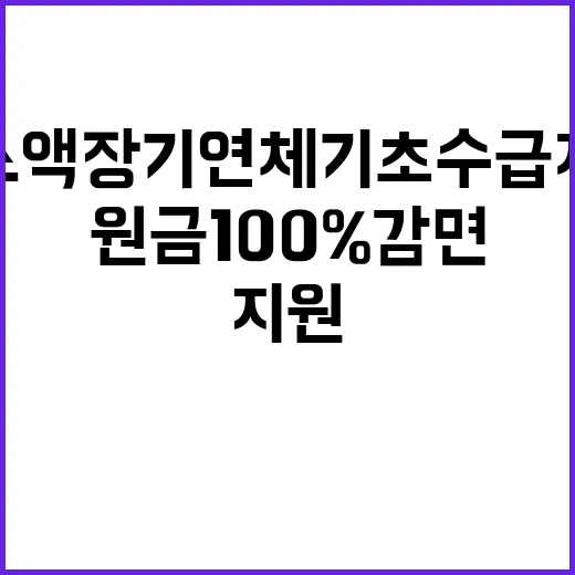 원금 100% 감면 소액 장기 연체 기초수급자 지원!