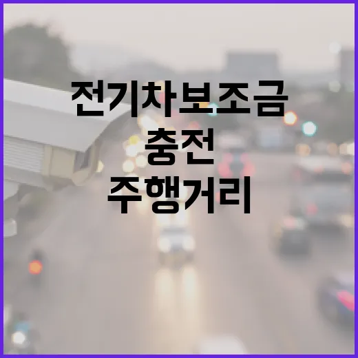 전기차 보조금 주행…