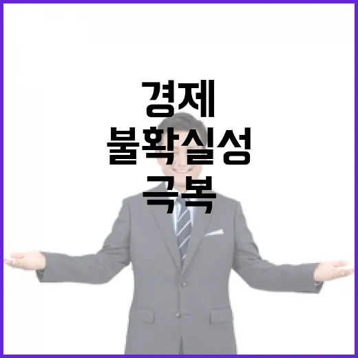 경제 안정성 불확실성 극복 위한 전략 공개!