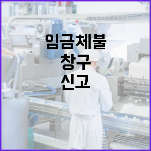 고용부 임금체불 신고 창구 운영 시작!