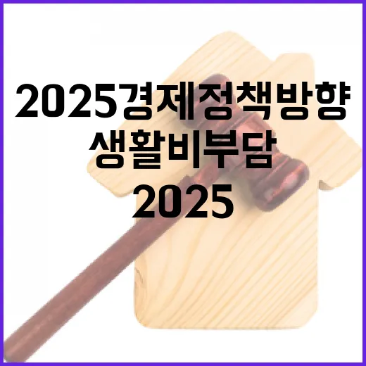 생활비 부담 2025 경제정책 방향의 숨은 진실!