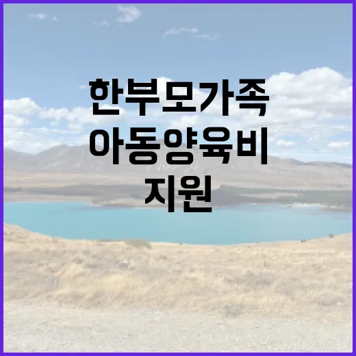 한부모가족 지원 예산 증가 아동양육비도 확대!